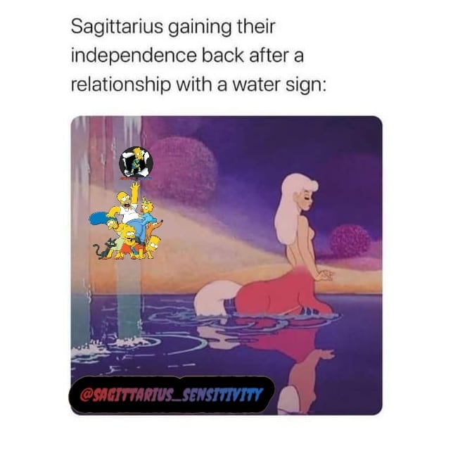 Zodiac Sagittarius Meme5