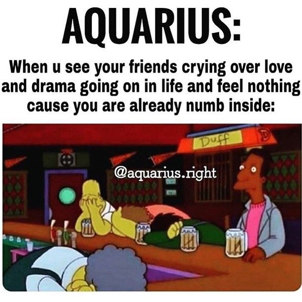 Aquarius Memes 10