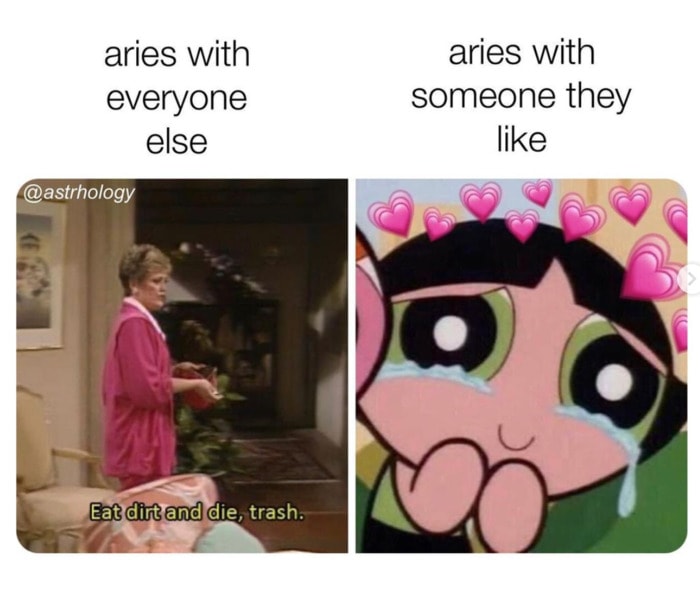 Aries Memes 19