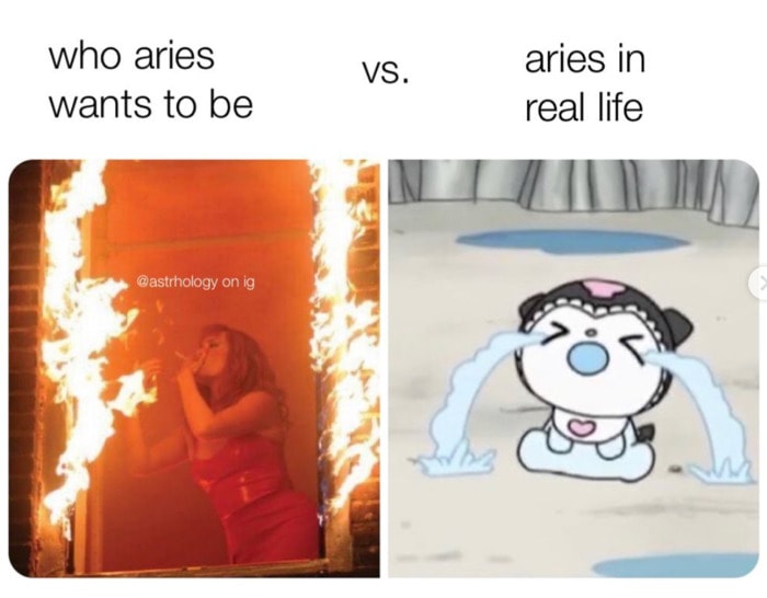 Aries Memes 21