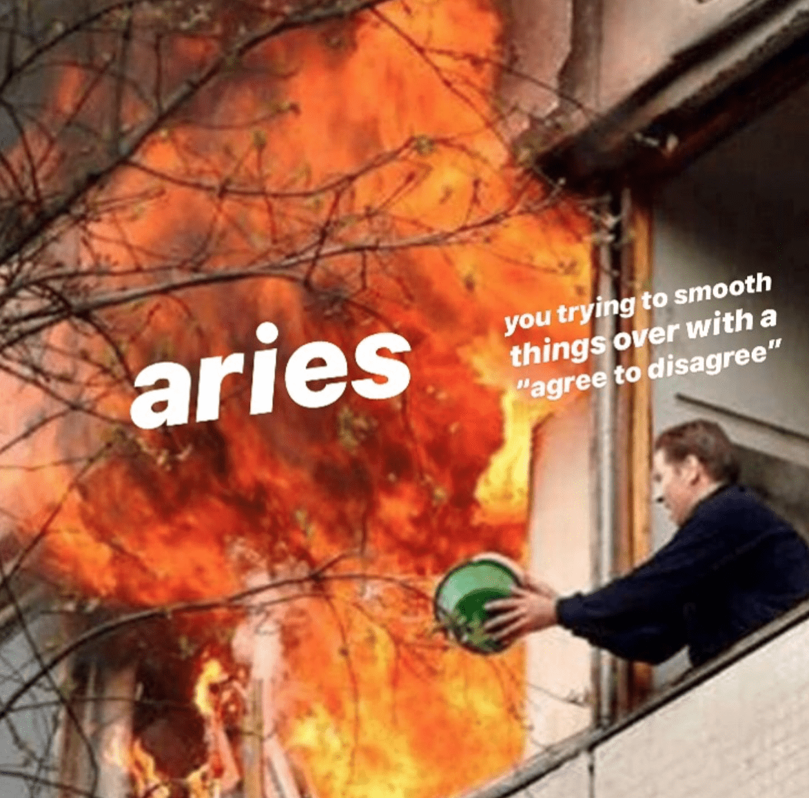 Aries Memes 5
