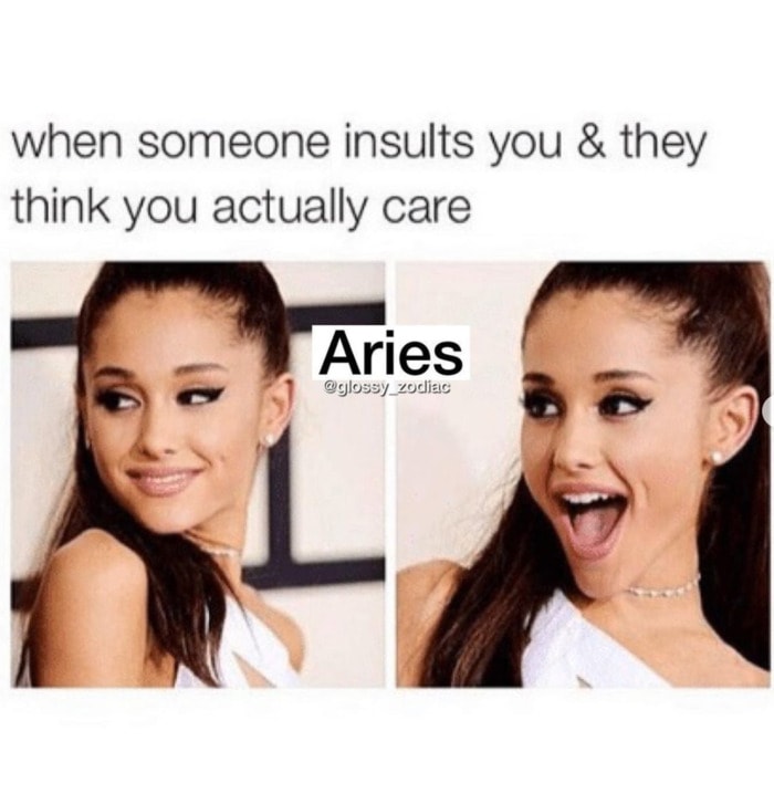 Aries Memes 6