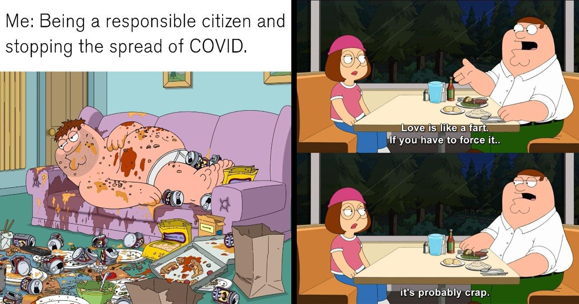 Family Guy Memes1