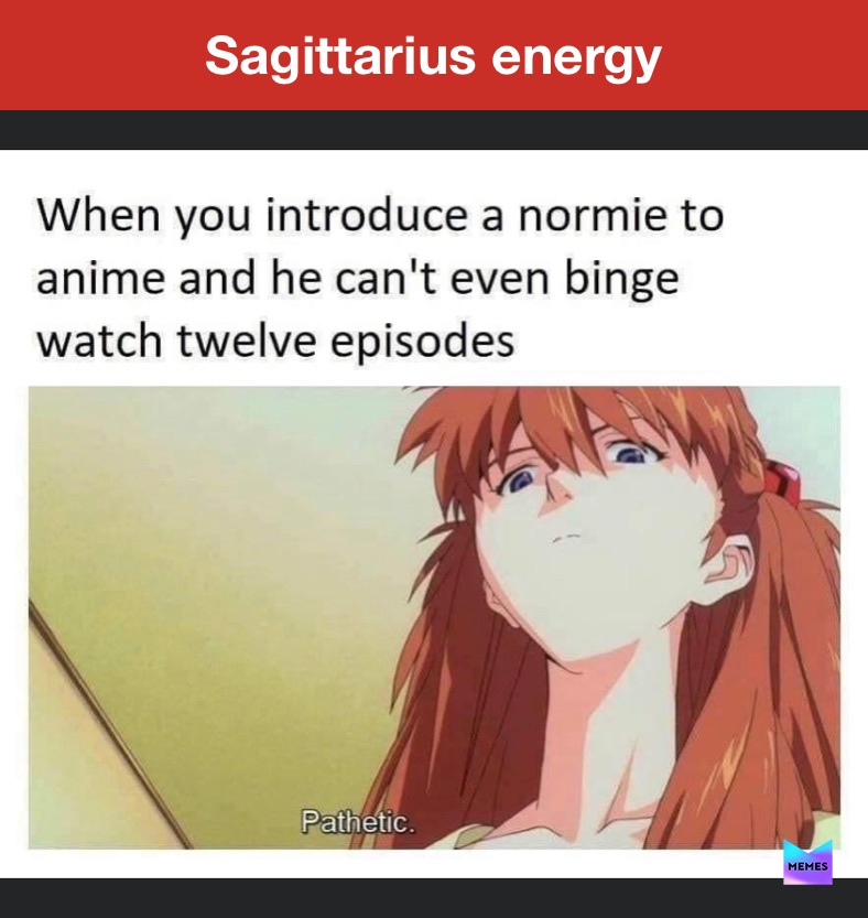 Funny Sagittarius Meme1