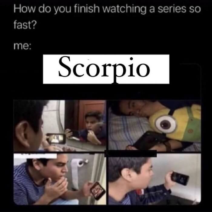 Get To Know A Scorpio Through 16 Funny Memes Relatable To This Mysterious Sign01