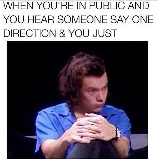One Direction Memes 20 1507043805