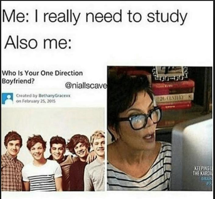 One Direction Memes 21 1507043805