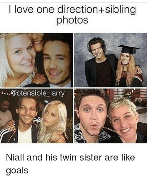 One Direction Memes 7 1507043801