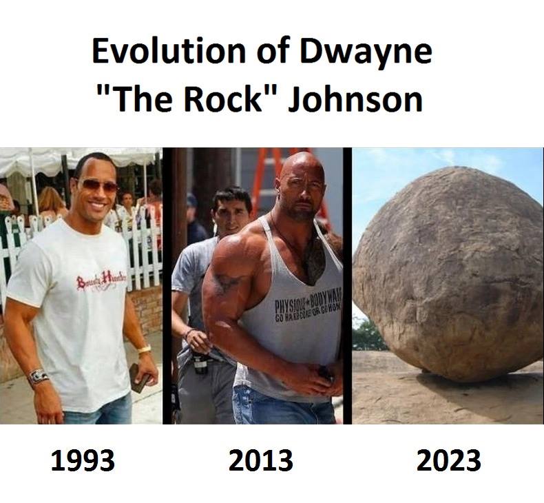 Rock Dwayne Johnson Memes16