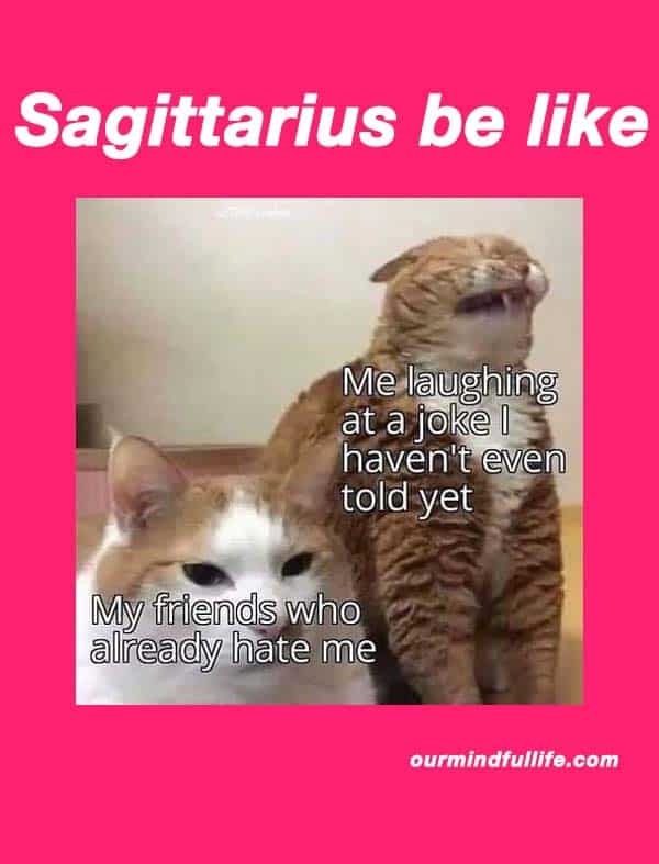 Sagittarius Be Like Funny Astrology Memes Ourmindfullife.com 