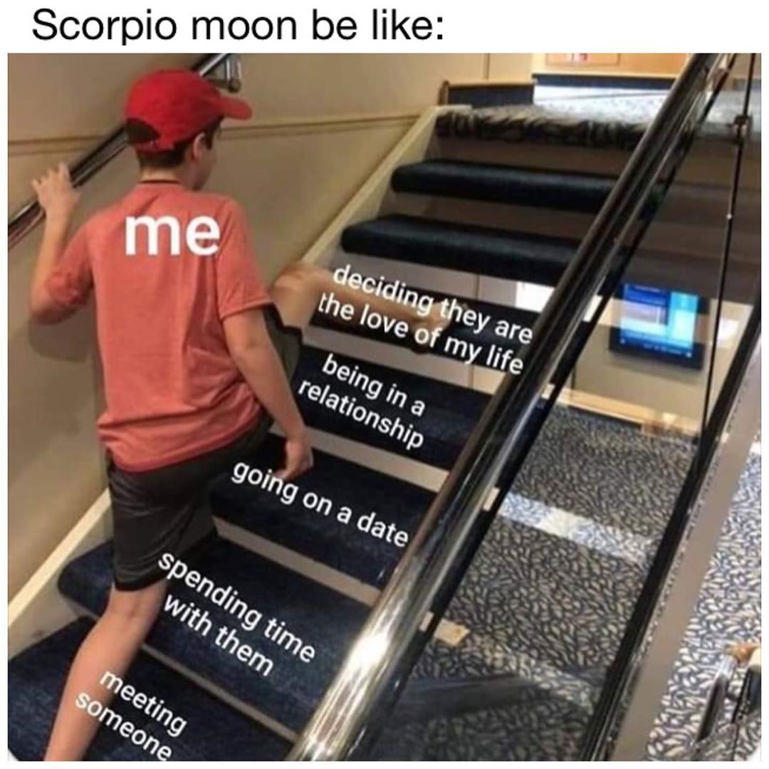 Scorpio Memes 8
