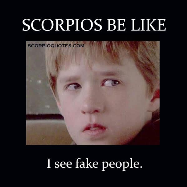 Scorpios Be Like I See Fake People Scorpio Memes