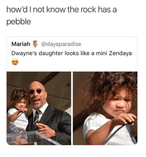 The Rock Dwayne Johnson Memes1