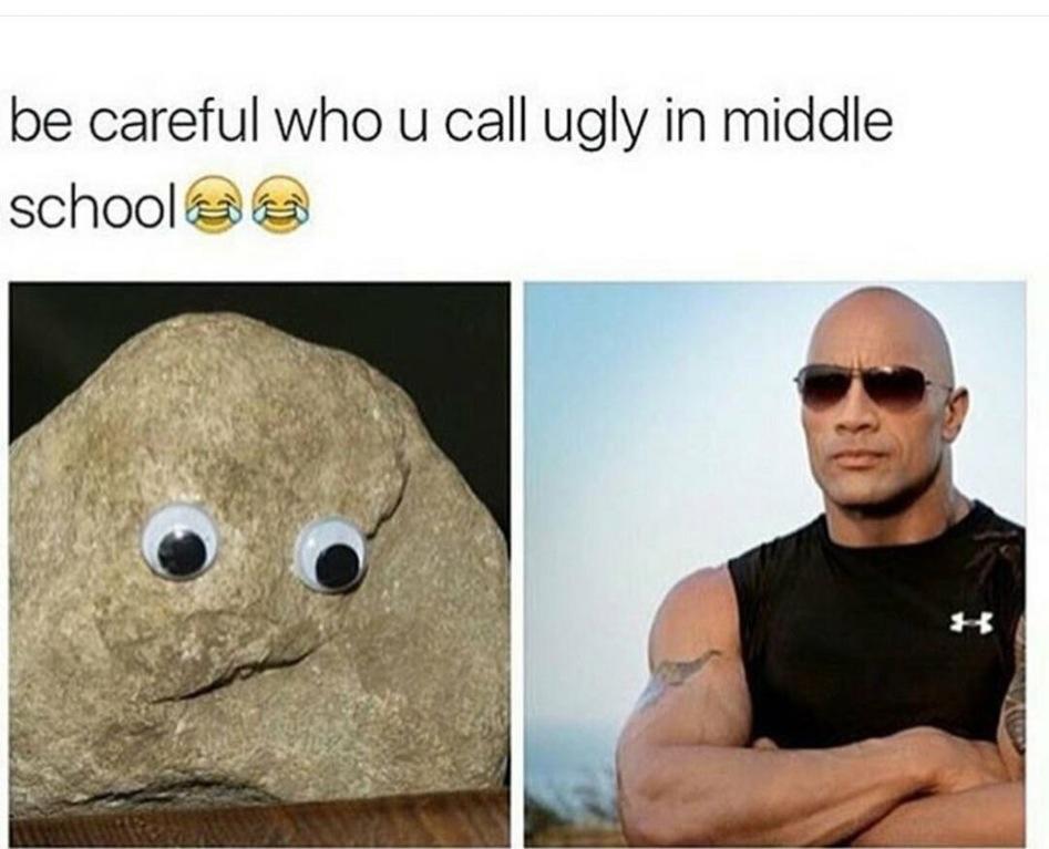 The Rock Dwayne Johnson Memes3