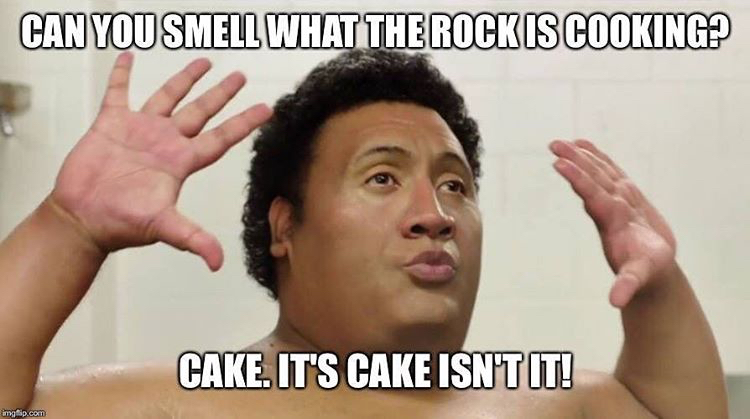 The Rock Memes9