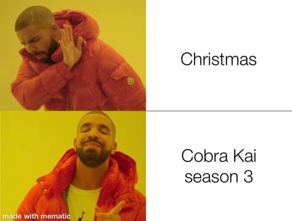 Best Cobra Kai Memes 15