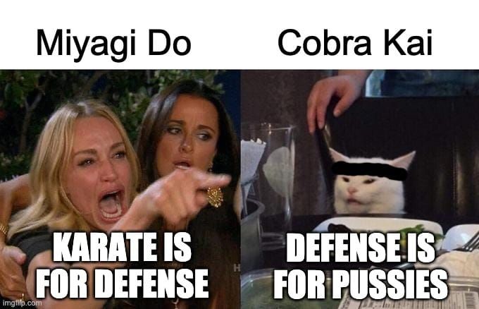 Best Cobra Kai Memes 18