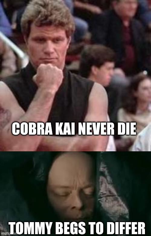 Best Cobra Kai Memes 5