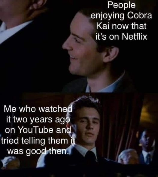 Best Cobra Kai Memes 7