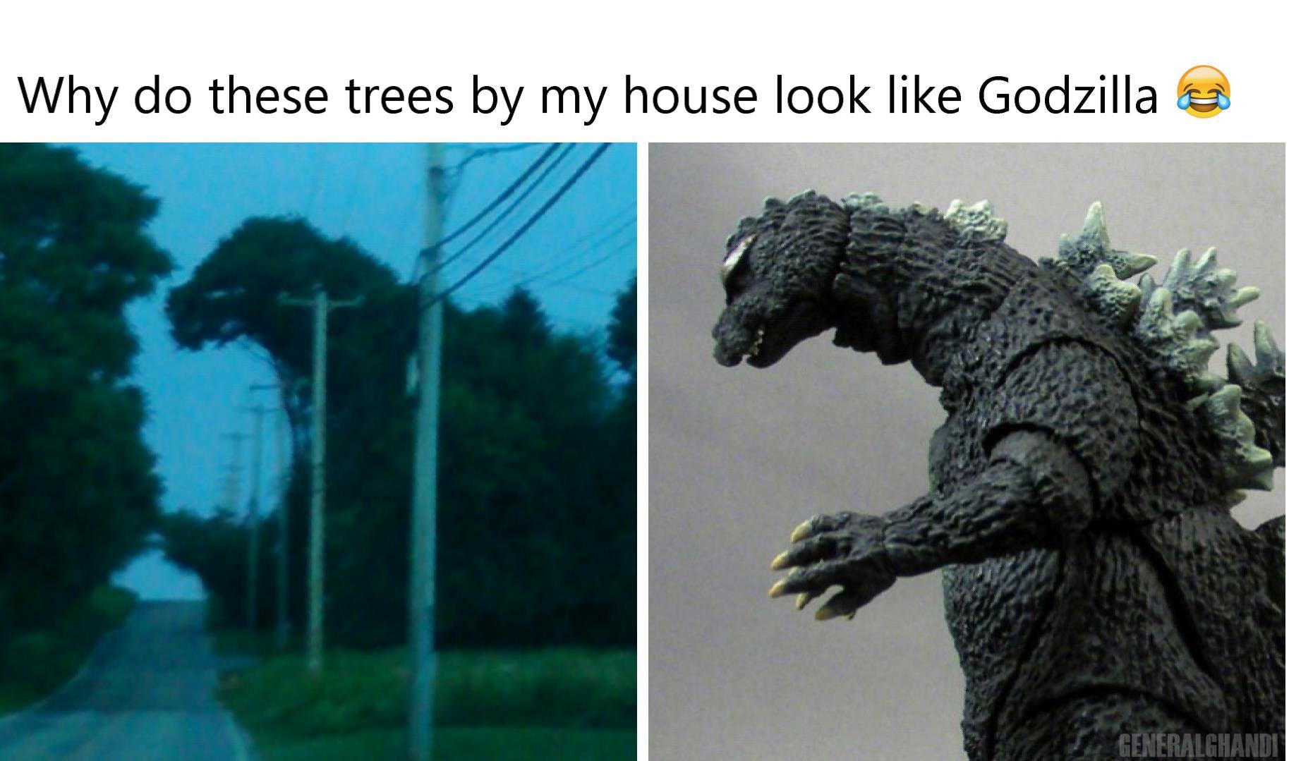 Best Godzilla Memes 1