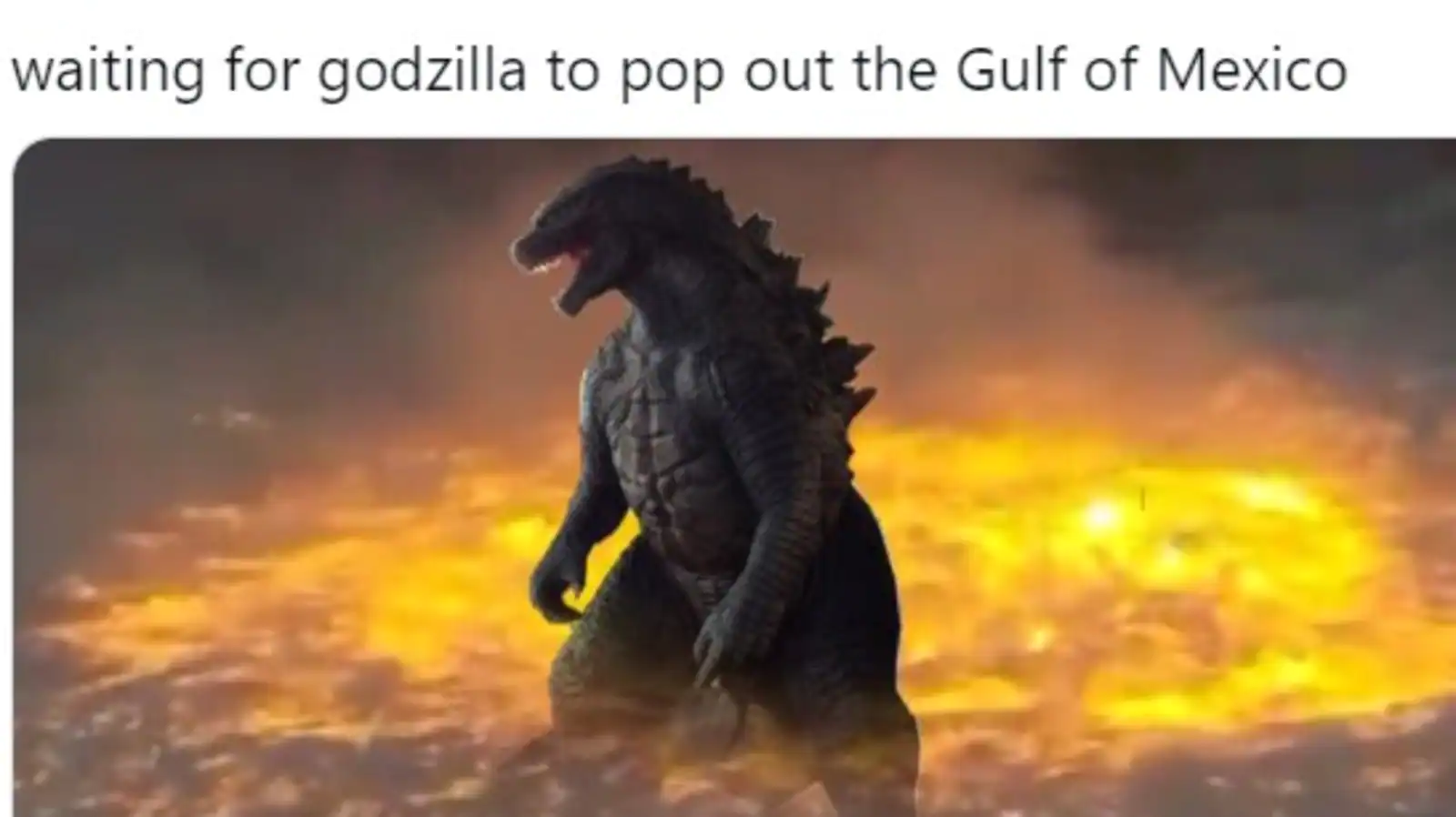 Best Godzilla Memes 10