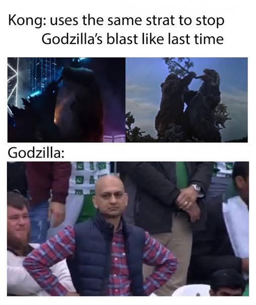 Best Godzilla Memes 11