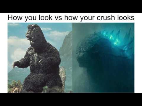 Best Godzilla Memes 15