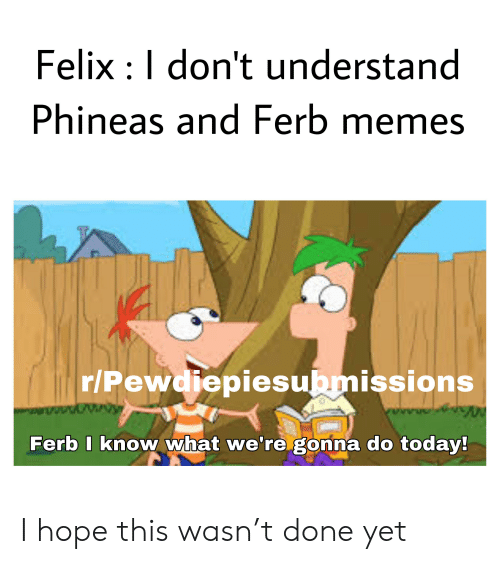 Best Phineas And Ferb Memes 6