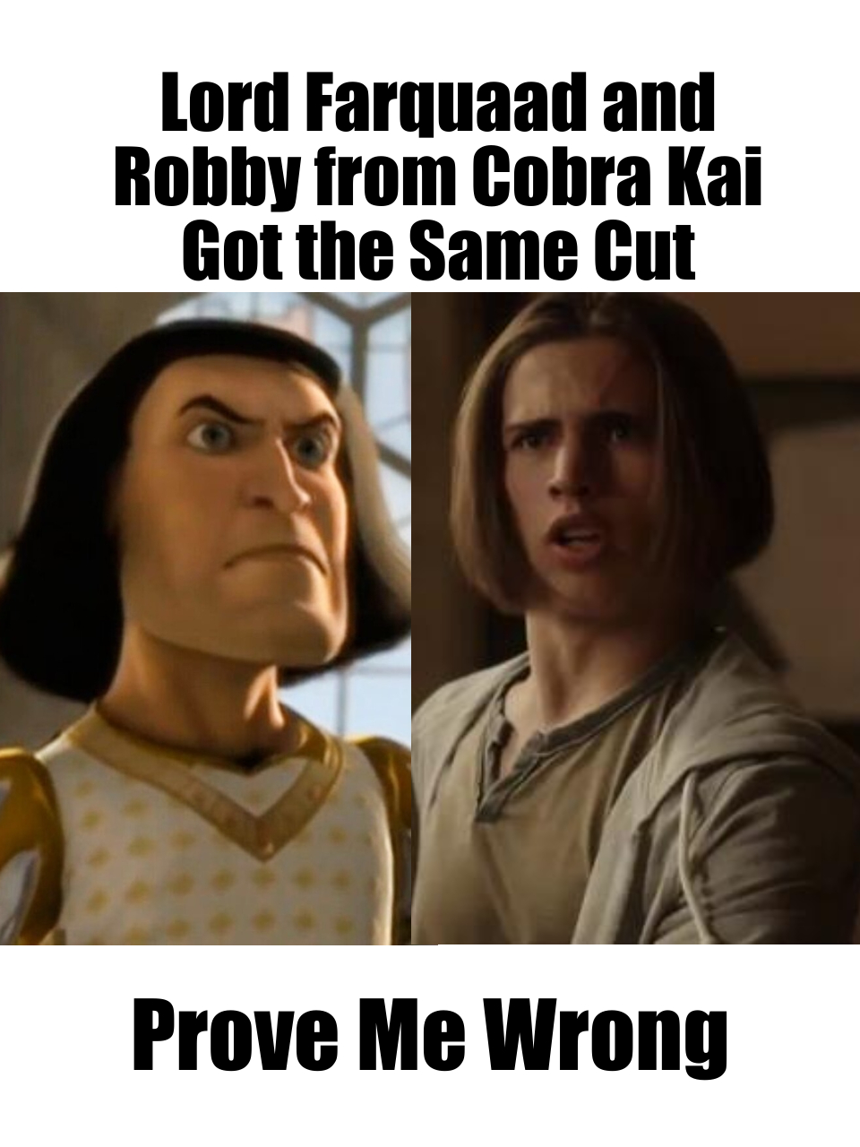 Cobra Kai Memes 8