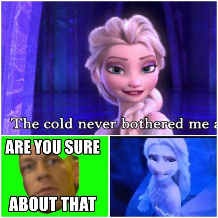 Disney Frozen Memes 10