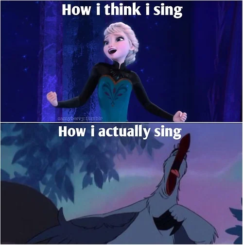 Disney Frozen Memes 18