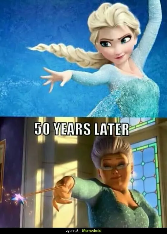 Disney Frozen Memes 22