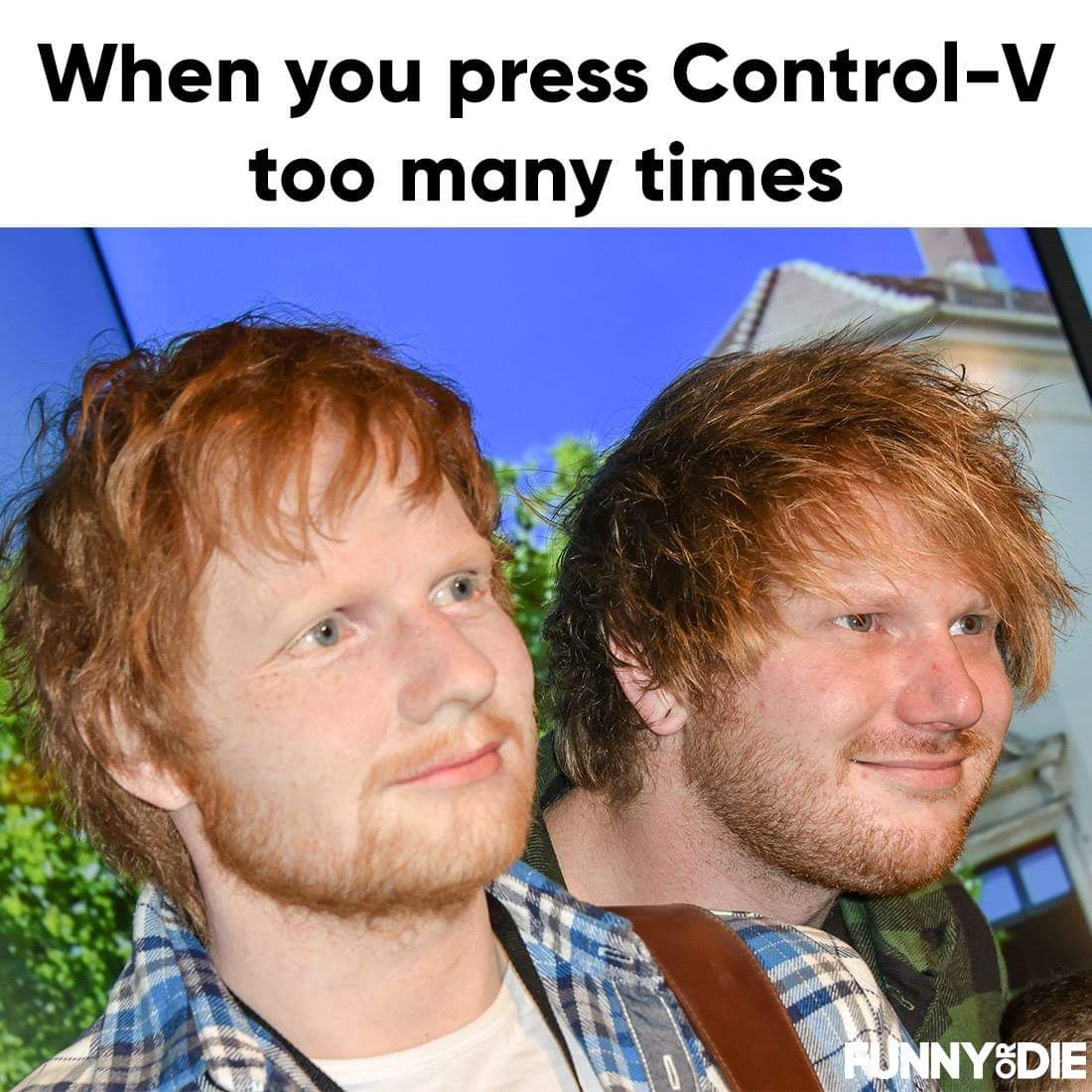 Ed Sheeran Memes 10