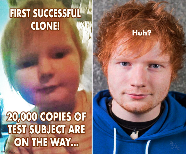 Ed Sheeran Memes 14