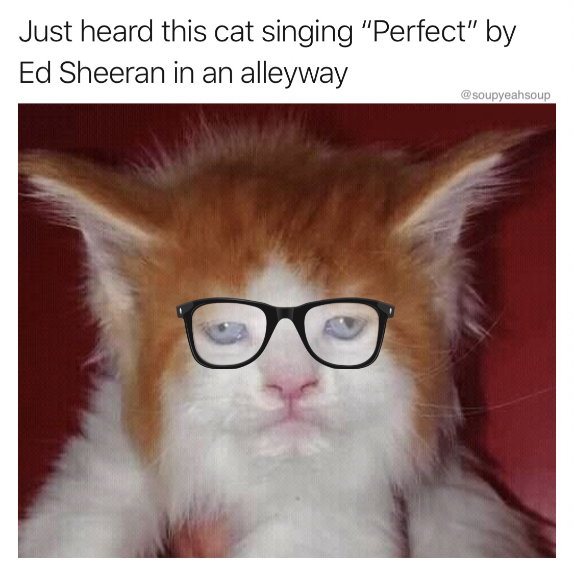 Ed Sheeran Memes 17