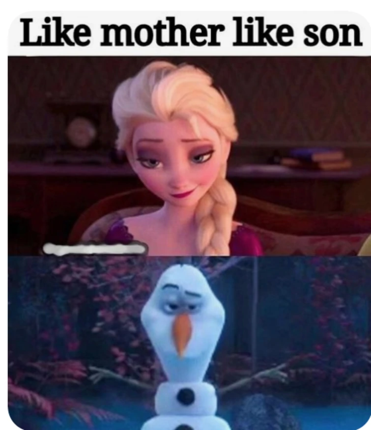 Frozen Memes 13