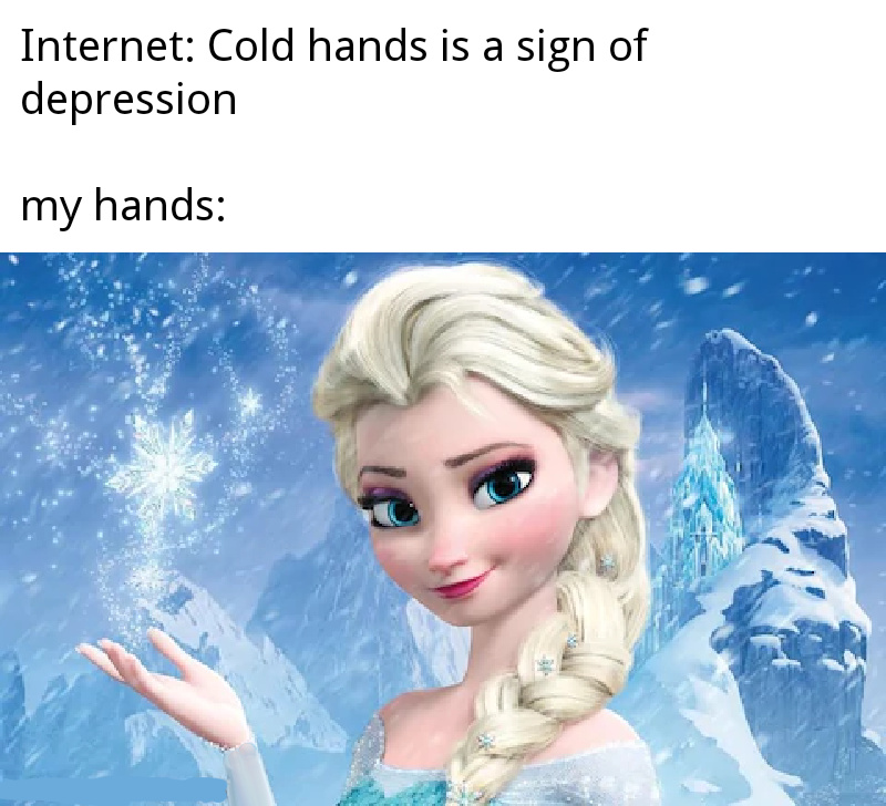 Funny Disney Frozen Memes 4