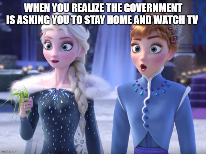 Funny Disney Frozen Memes 6