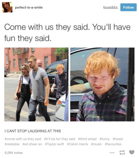 Funny Ed Sheeran Memes 1