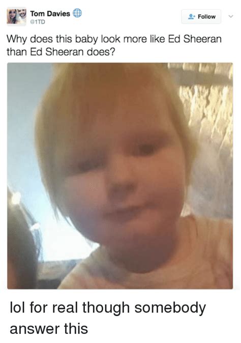 Funny Ed Sheeran Memes 2