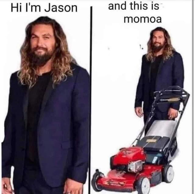 Funny Jason Momoa Memes 12