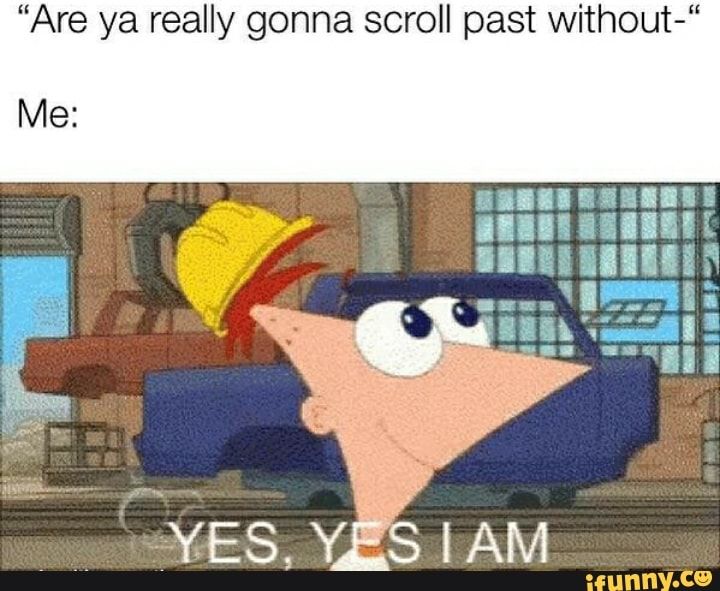 Funny Phineas And Ferb Memes 1