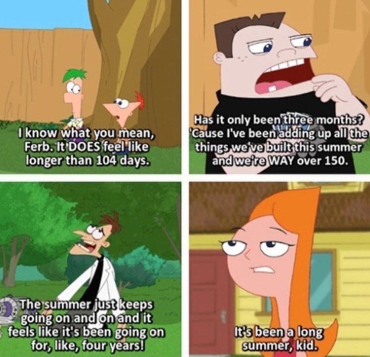 Funny Phineas And Ferb Memes 14