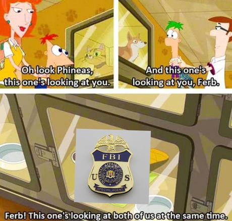 Funny Phineas And Ferb Memes 21