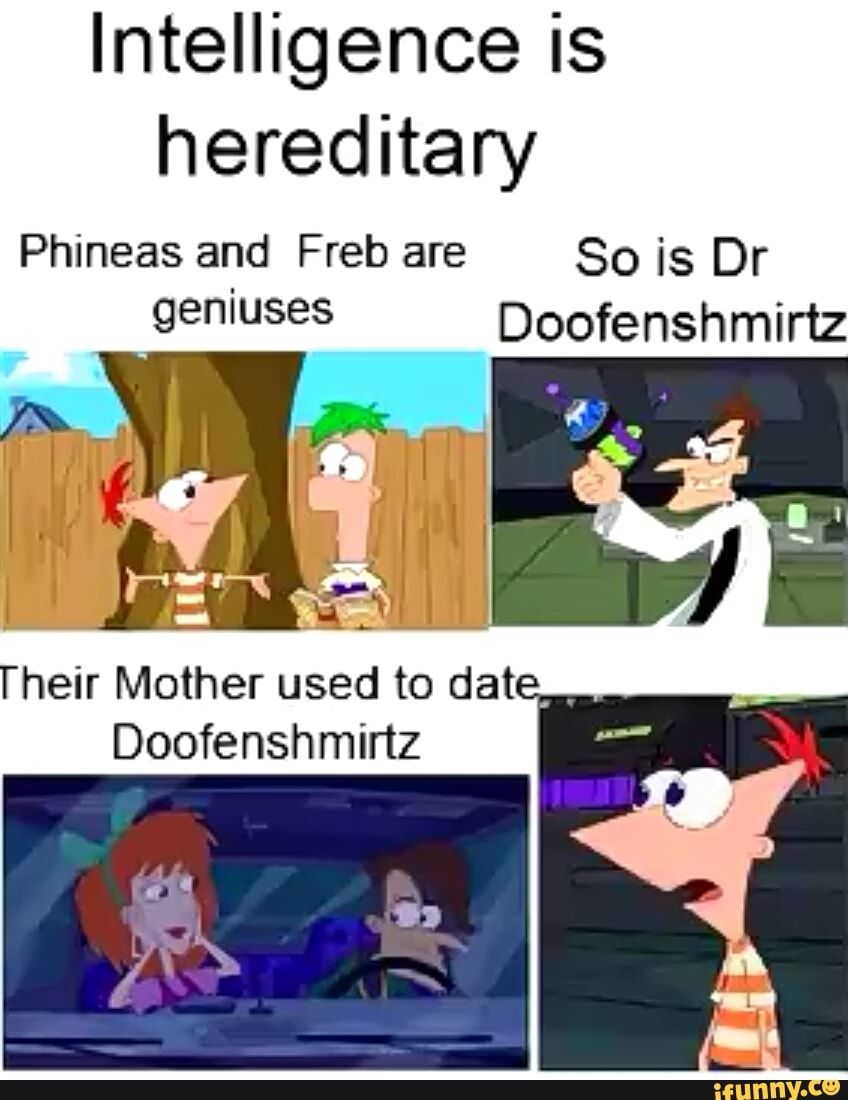 Funny Phineas And Ferb Memes 6