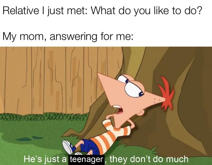 Funny Phineas And Ferb Memes 7