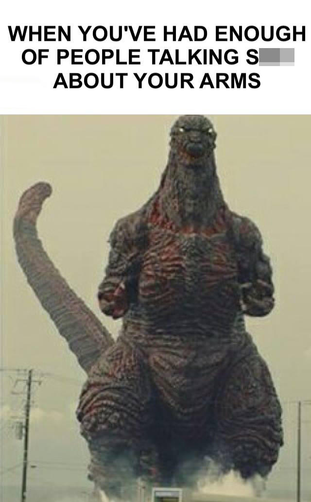 Godzilla Memes 1