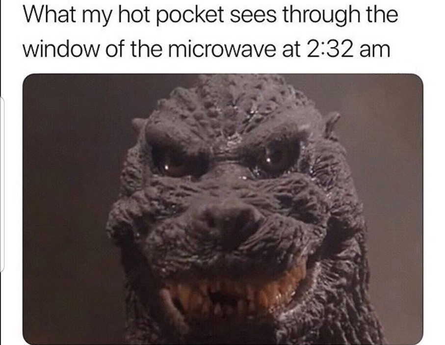 Godzilla Memes 12