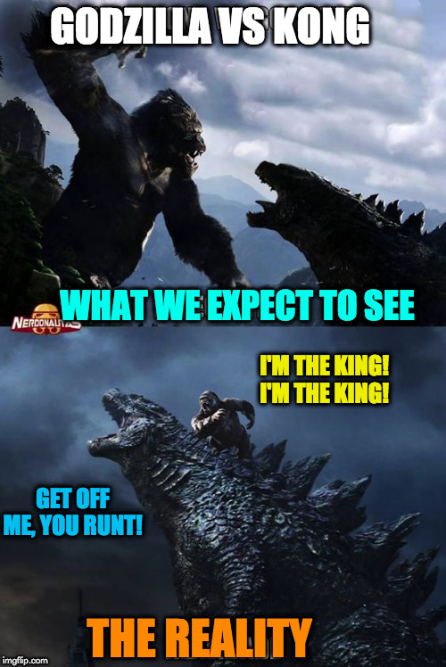 Godzilla Memes 5