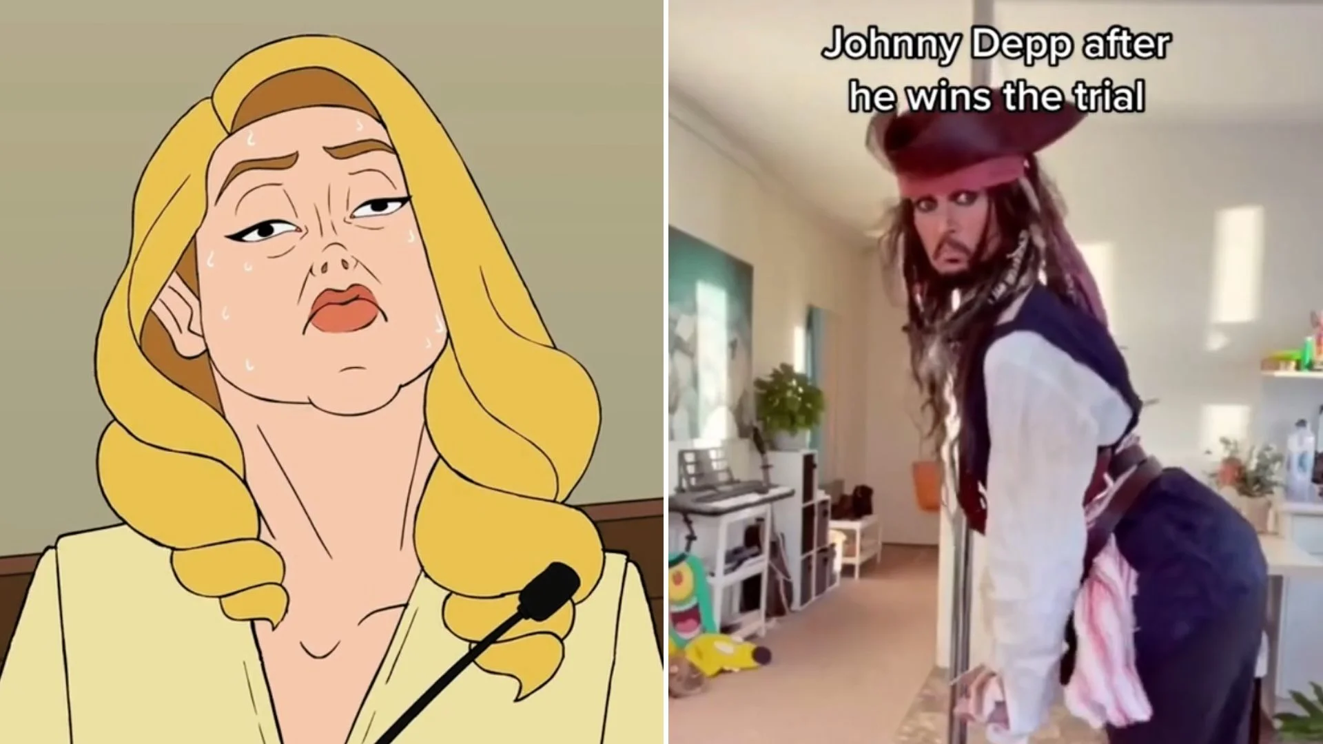 Johnny Vs Amber Heard Memes 1